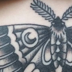 Tattoos - Under Boob Moth - 109715